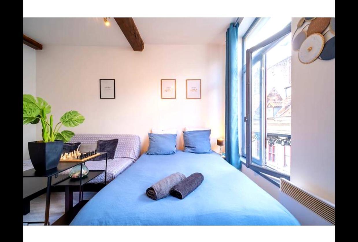 La Belle Niche Appartement Rijsel Buitenkant foto